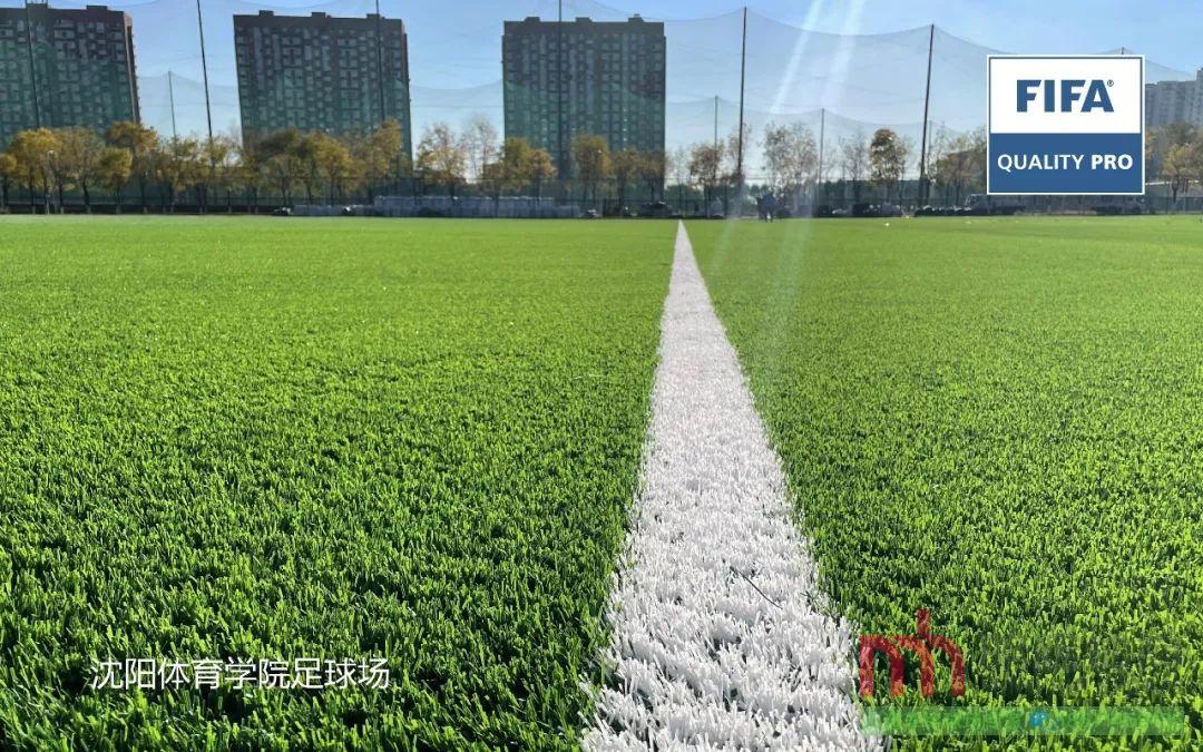 遼寧沈陽體育學(xué)院人造草坪足球場